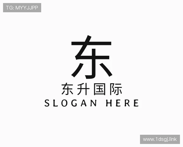 洞察东升国际